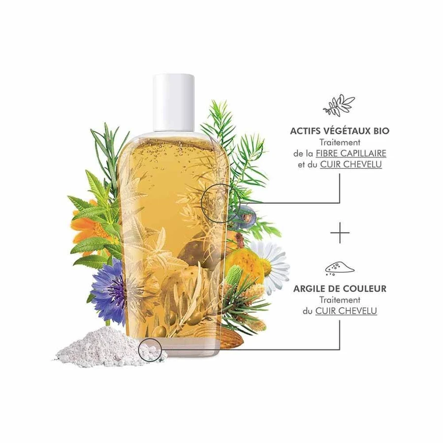 Dermaclay Organic Argilla Blanc Szampon przeciw wypadaniu włosów 250ml: ceny i cechy