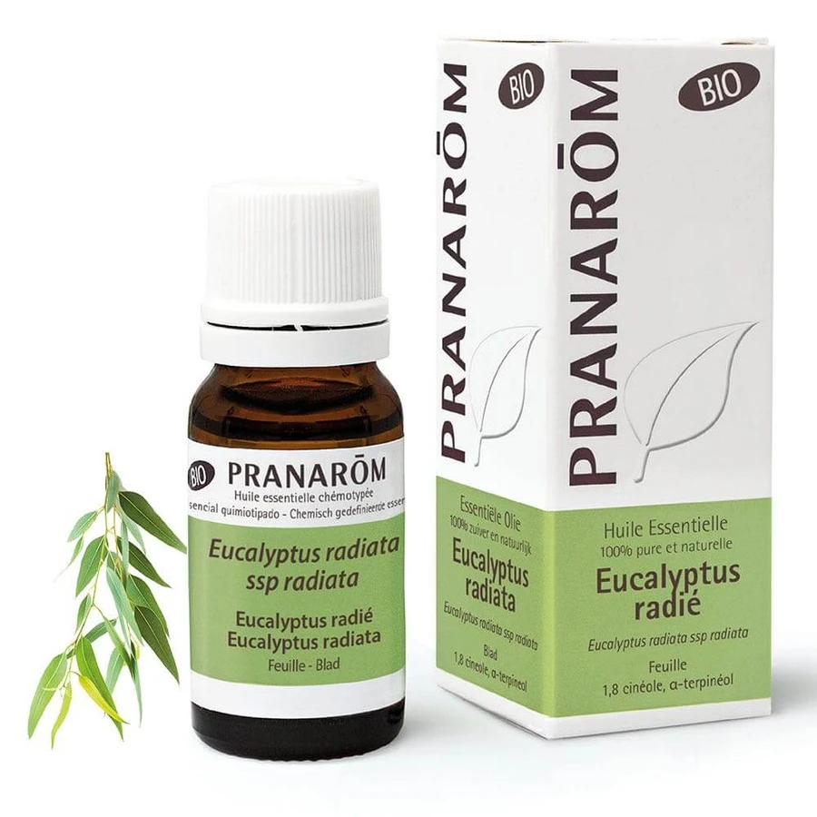 Pranarôm Les Huiles Essentielles Eucalyptus Radie Bio 10ml