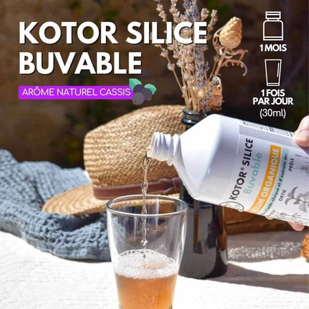 Kotor Pharma Organic Drinking Silicon 1l