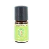 Spring Essential Oil Of Eucalyptus Radiata Bio - Biolife 5ml