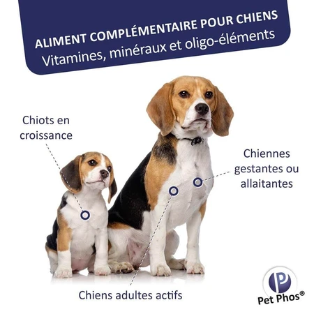 Ceva Pet Phos Crescita Ca/P=2 cucciolo 100 compresse
