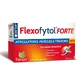 Tilman Flexofytol Forte 28 tabletten