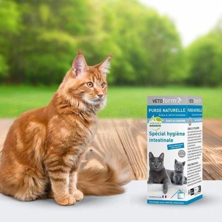 Vetoform Solución Purgante Gatitos 50ml