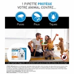 Frontline Spot-on Hond 2-10kg 6 pipetten 0,67 ml