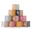 Houten blokjes, 6 maanden+, Leren tellen, BigJigs