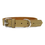 Hondenhalsband Gloria Oasis Groen (65 x 3 cm)