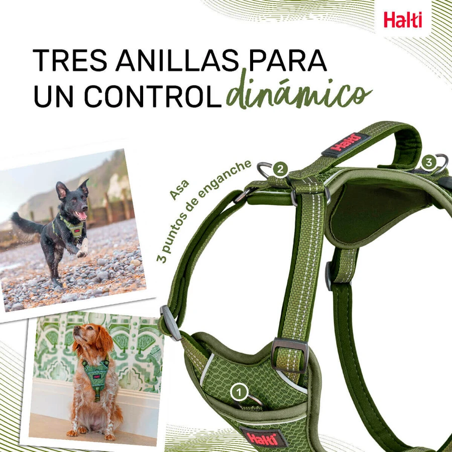 Hondentuigje Company of Animals Groen XS 20-32 cm