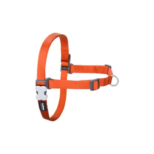 Szynka dla psa Red Dingo 36-50 cm pomarańczowa S