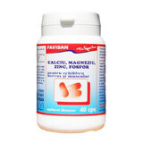 Calciu Magneziu Zinc Fosfor, 40 capsule, Favisan