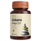 Ginkana Ginkgo Q10, 30 tabletten, Alevia