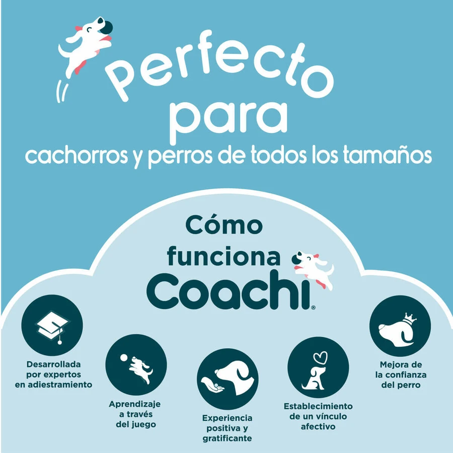 Fourre-tout Coachi Train & Treat Bleu