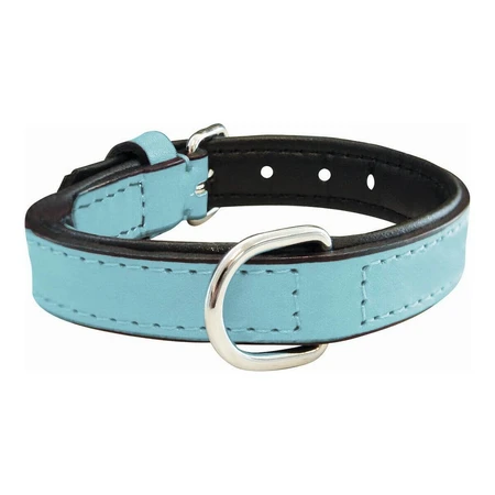 Obroża dla psa Gloria Padded Blue (45 x 2 cm): ceny i cechy