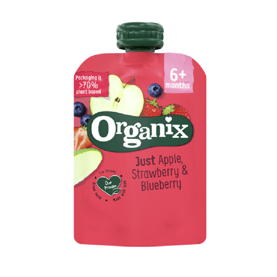 Aardbei en aalbes snack, 100 gr, Organix