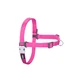 Hondentuigje Red Dingo 84-119 cm Fuchsia XL