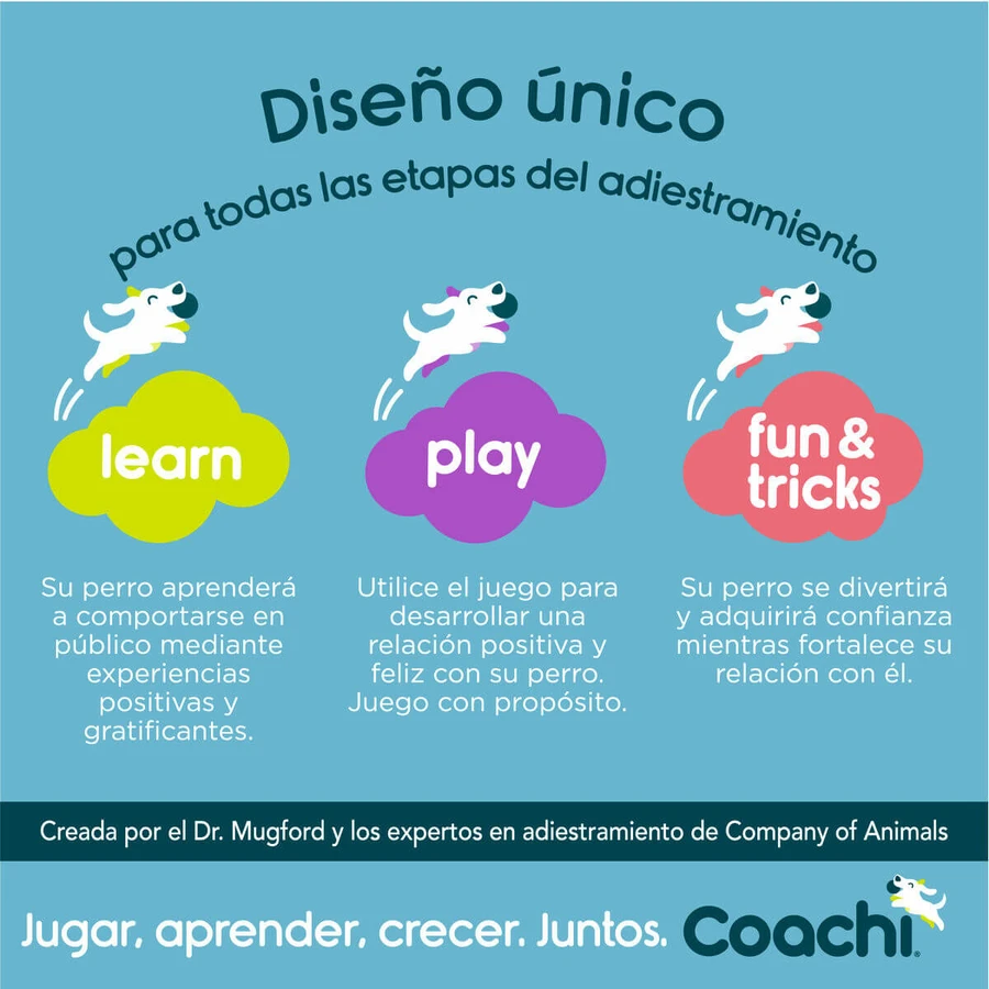 Trainingsband Coachi Blauw 10m Training