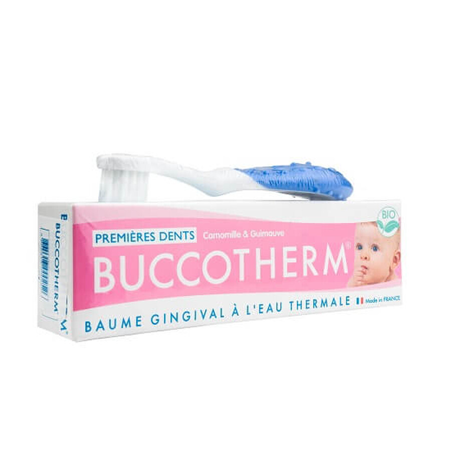 Tandenborstel + Tandpasta Kit Biologische Eerste Tandjes met Kamille en Marshmallow, 0-2 jaar, Buccothem