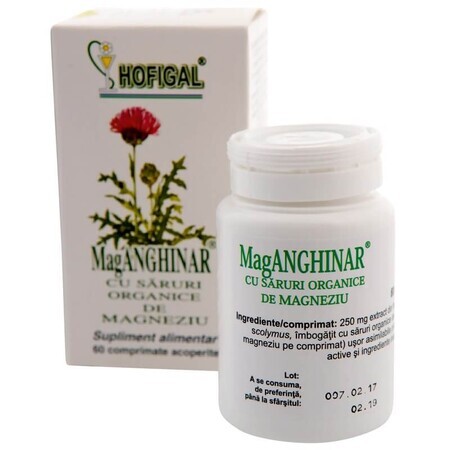 MagAnghinar, 60 comprimés, Hofigal