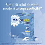 MagneVie Express, 150 mg magnesium + 0.7mg vitamin B6, extra energy, waterless administration, 2x20 sachets