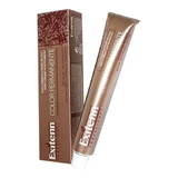 Permanente Kleur Color Exitenn Nº 1203 (60 ml)
