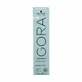 Trwała farba do włosów Schwarzkopf Igora Royal 60 ml Hl 1019-Platininė blondinė