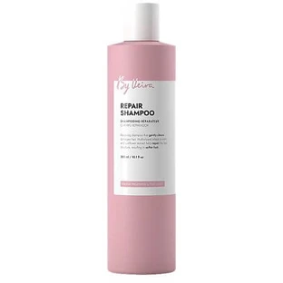 Shampoo voor beschadigd haar Repair, 300 ml, Van Veira