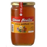 Polyflora honing, 950 g, Apidava
