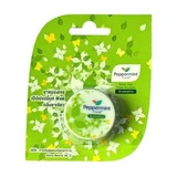 Groene thee geur pepermunt veld, 8 g, Bertram, Groene thee geur pepermunt veld, 8 g, Bertram