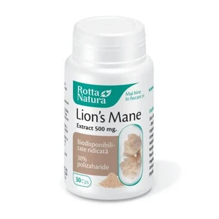 Lion's Mane, 500 mg, 30 kapsułek, Rotta Natura