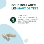Naturactive Maux de Tête Flash Bio 14 gélules