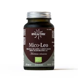 Hifas da Terra Mico-leo 70 capsules