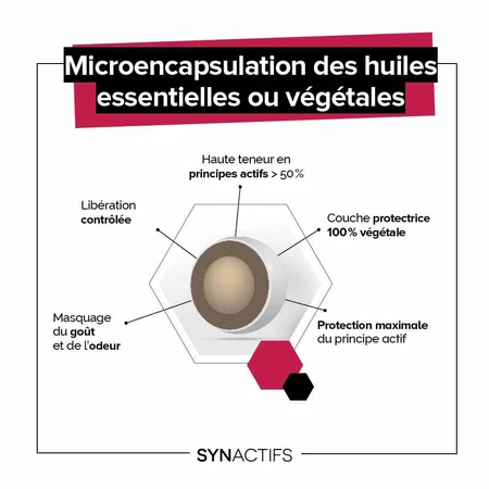 Aragan Synactifs Circulación 30 cápsulas