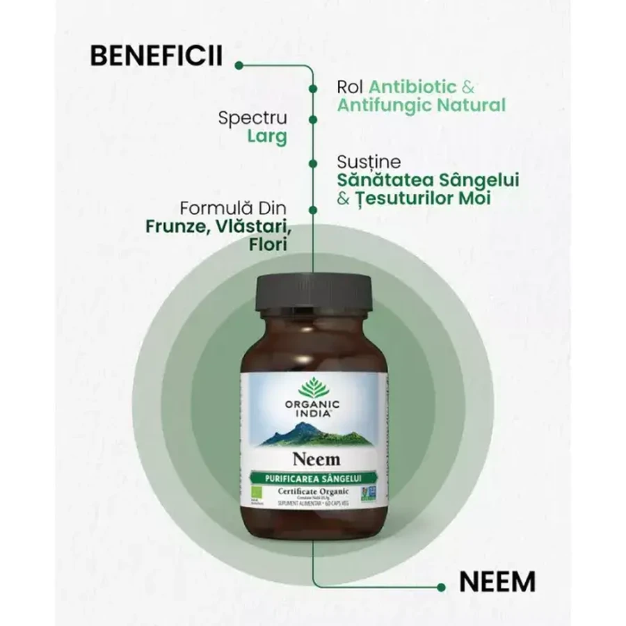 Neem, 60 cápsulas, Organic India