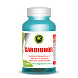 Cardiobor, 60 capsules, Hypericum