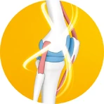 Cartimix Forte, 60 comprimidos, Good Days Therapy