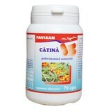 Catina, 70 capsule, Favisan