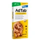 ADTAB 450 MG 1 COMPRIMIDO MASTICABLE PARA PERROS (11-22 KG)