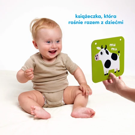 CzuCzu Large contrast cards, baby book, 6-9 months, 24 elements