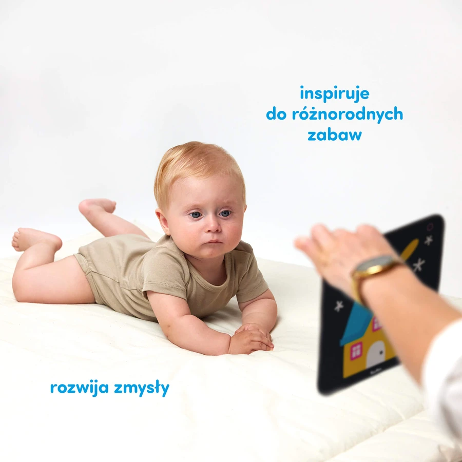 CzuCzu Large contrast cards, baby book, 6-9 months, 24 elements