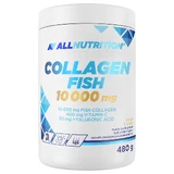 Allnutrition Collagen Fish 10000 mg, mango flavor, 480 g