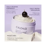 Caudalie Vinotherapist, vegan lipid replenishing body butter, 250 ml
