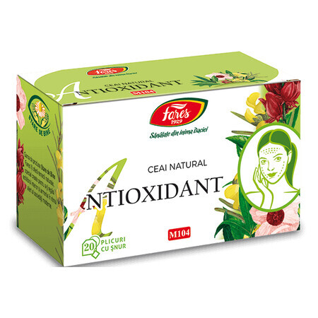Antioxidantien-Tee, 20 Portionsbeutel, Fares