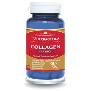 Kollagen arthro, 60 Kapseln, Herbagetica