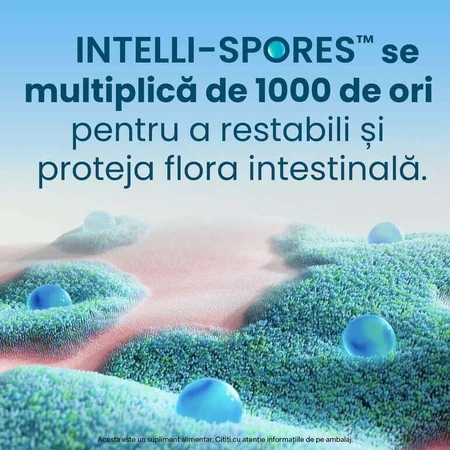 Enterogermina Forte, 10 vials x 5 ml oral suspension, Sanofi