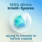 Enterogermina Forte, 10 vials x 5 ml oral suspension, Sanofi