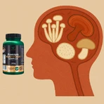Lanco Nutritions Premium Mushroom Complex, 60 capsules