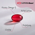 Simple Day Olio di krill antartico, 60 capsule