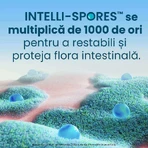 Enterogermina Forte 2×10 vials of 5 ml oral suspension, Sanofi