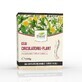 Bloedsomloop thee - Benen zonder spataderen, 150 g, Dorel Plant