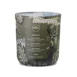 Aroma Home Wild, Duftkerze, Dschungel, 150 g