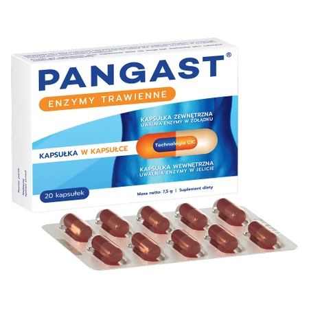 Pangast, 20 kapsułek: ceny i cechy